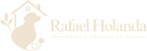 Médico Veterinário Rafael Holanda
